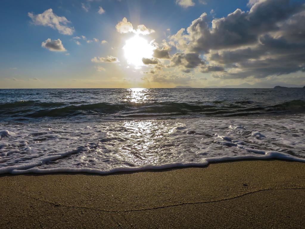 Cairns Beaches Flashpackers Palm Cove Zewnętrze zdjęcie